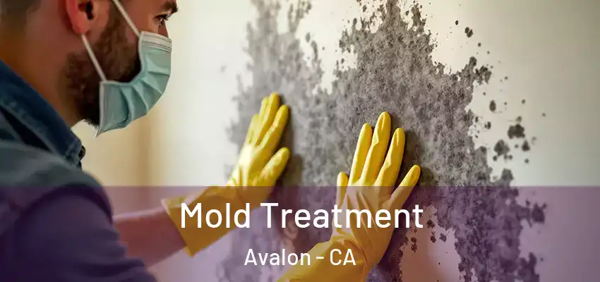  Mold Treatment Avalon - CA