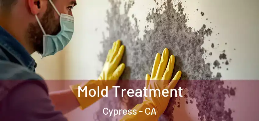  Mold Treatment Cypress - CA