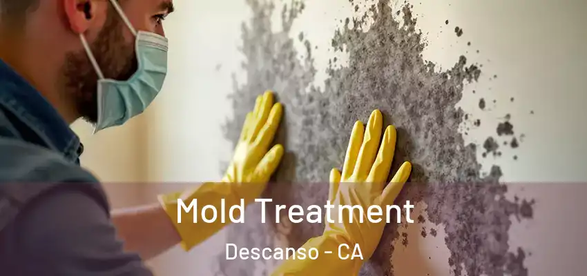  Mold Treatment Descanso - CA