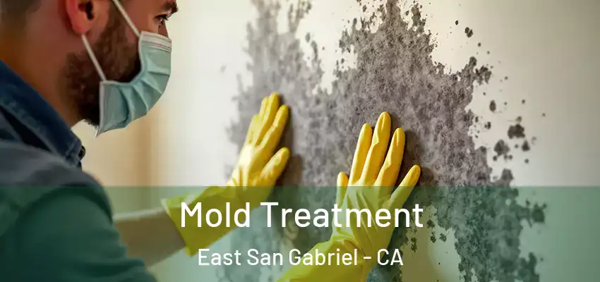  Mold Treatment East San Gabriel - CA