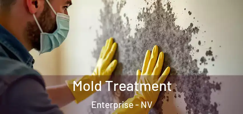 Mold Treatment Enterprise - NV