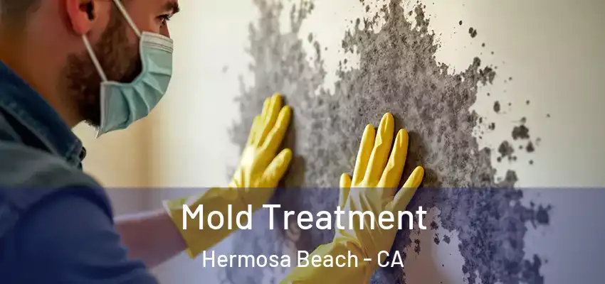 Mold Treatment Hermosa Beach - CA