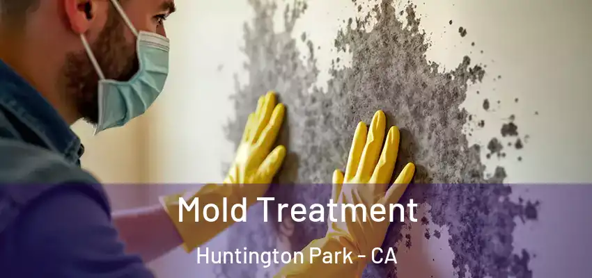  Mold Treatment Huntington Park - CA