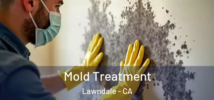  Mold Treatment Lawndale - CA