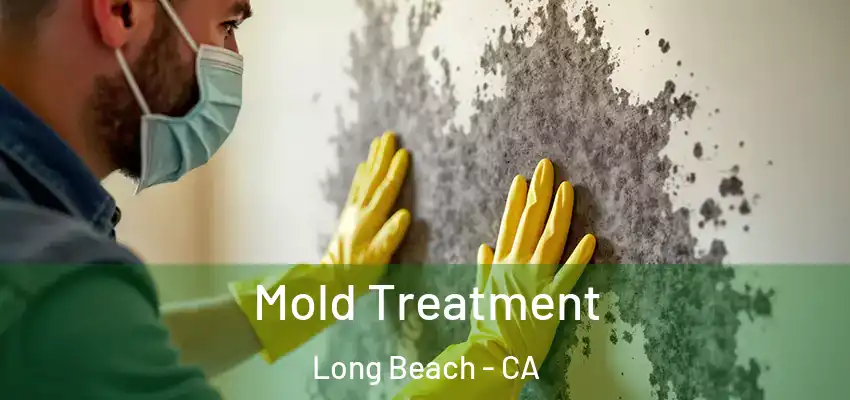  Mold Treatment Long Beach - CA