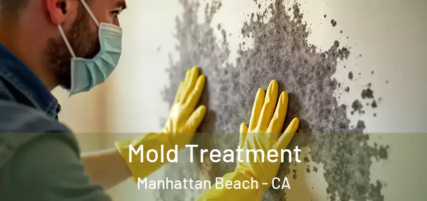  Mold Treatment Manhattan Beach - CA