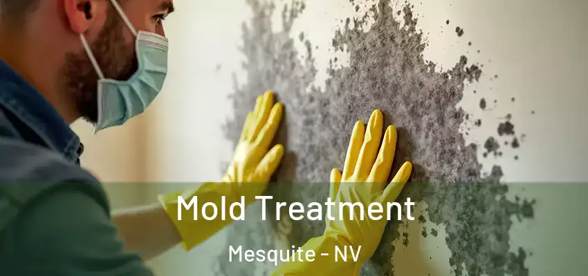  Mold Treatment Mesquite - NV