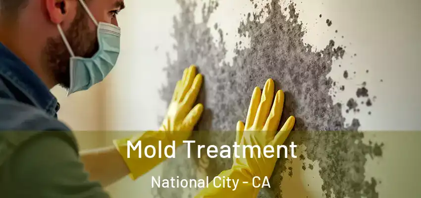  Mold Treatment National City - CA