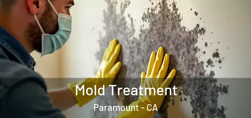  Mold Treatment Paramount - CA