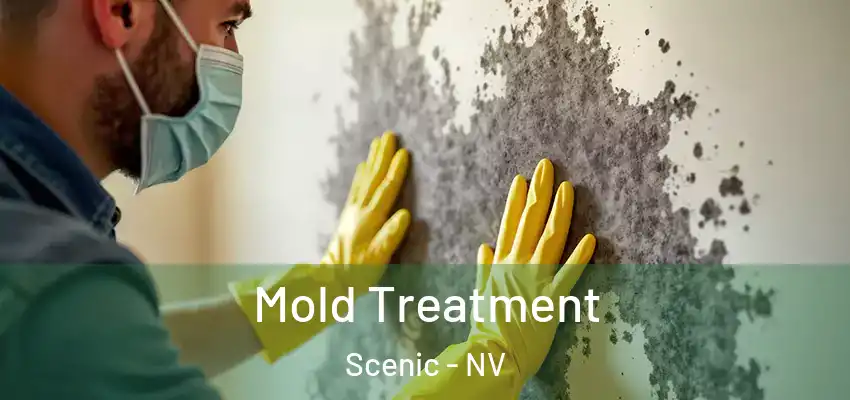  Mold Treatment Scenic - NV