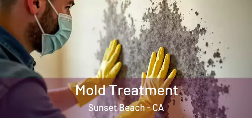  Mold Treatment Sunset Beach - CA