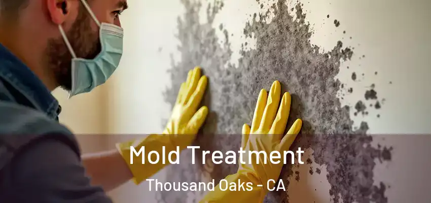Mold Treatment Thousand Oaks - CA