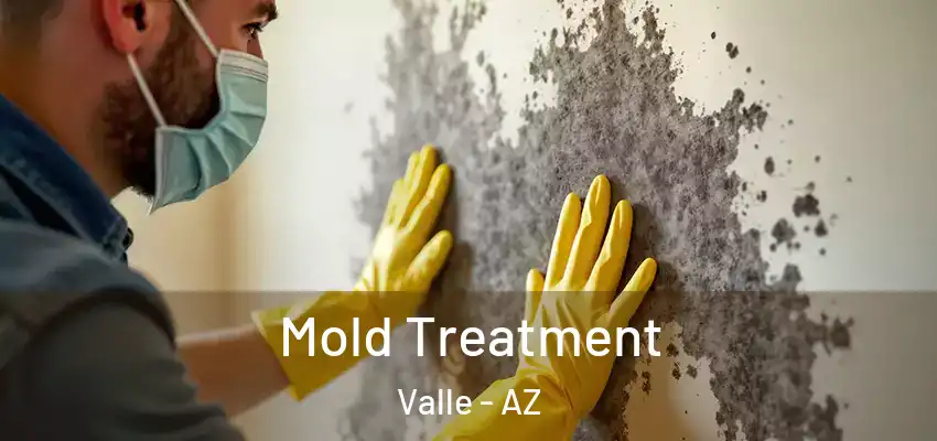  Mold Treatment Valle - AZ