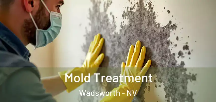  Mold Treatment Wadsworth - NV