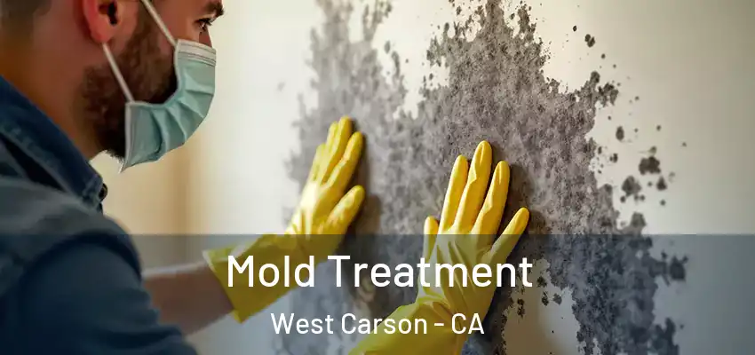  Mold Treatment West Carson - CA