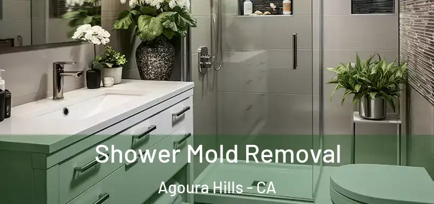  Shower Mold Removal Agoura Hills - CA