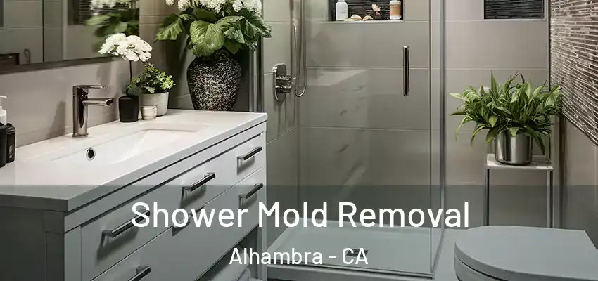 Shower Mold Removal Alhambra - CA