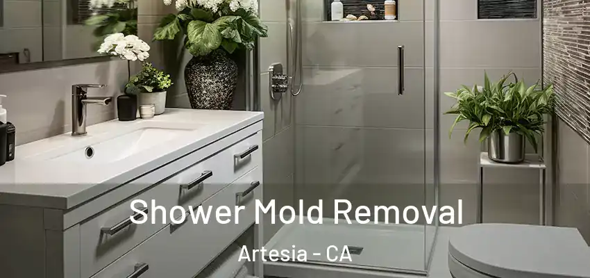  Shower Mold Removal Artesia - CA