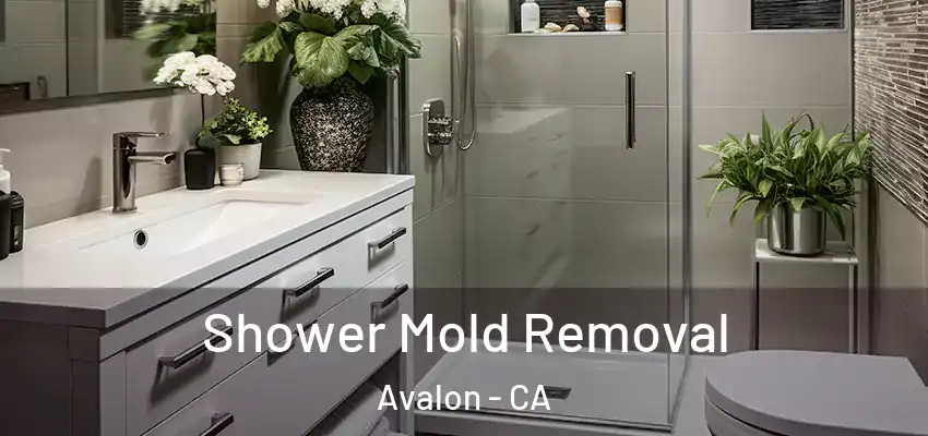  Shower Mold Removal Avalon - CA