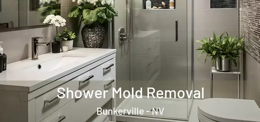  Shower Mold Removal Bunkerville - NV