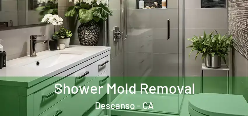  Shower Mold Removal Descanso - CA