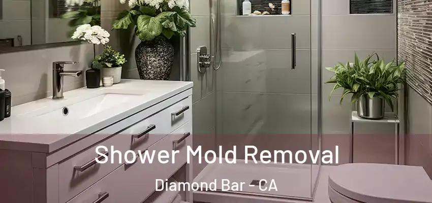  Shower Mold Removal Diamond Bar - CA