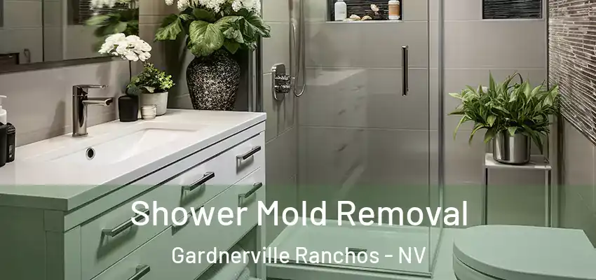  Shower Mold Removal Gardnerville Ranchos - NV