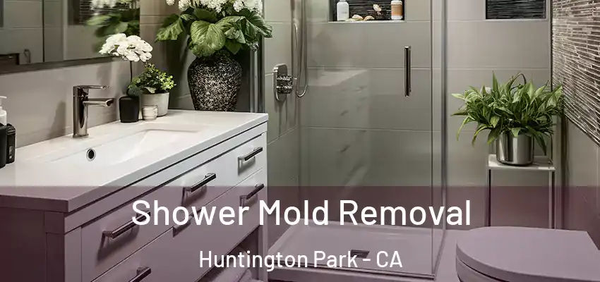  Shower Mold Removal Huntington Park - CA