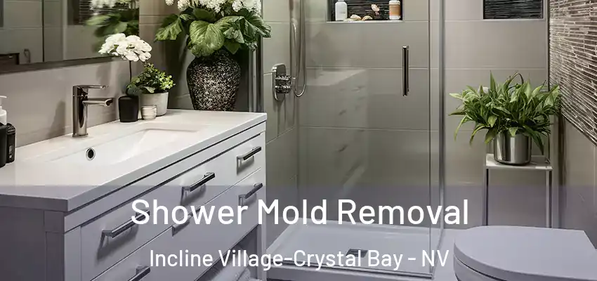  Shower Mold Removal Incline Village-Crystal Bay - NV