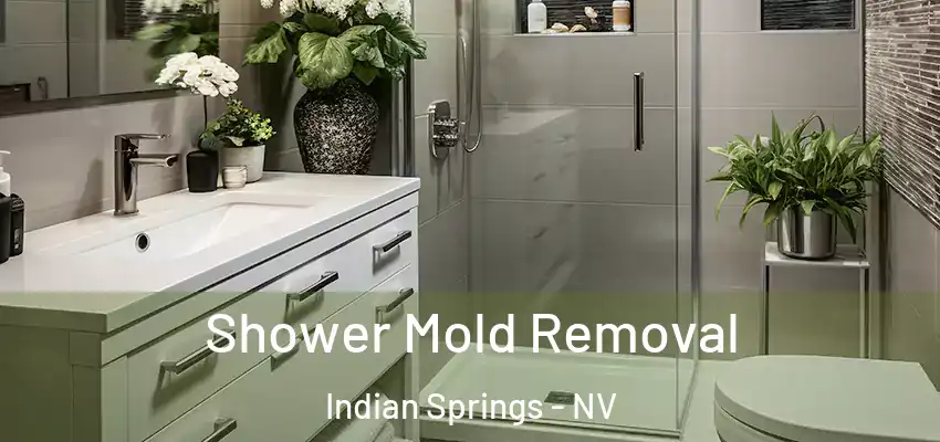  Shower Mold Removal Indian Springs - NV
