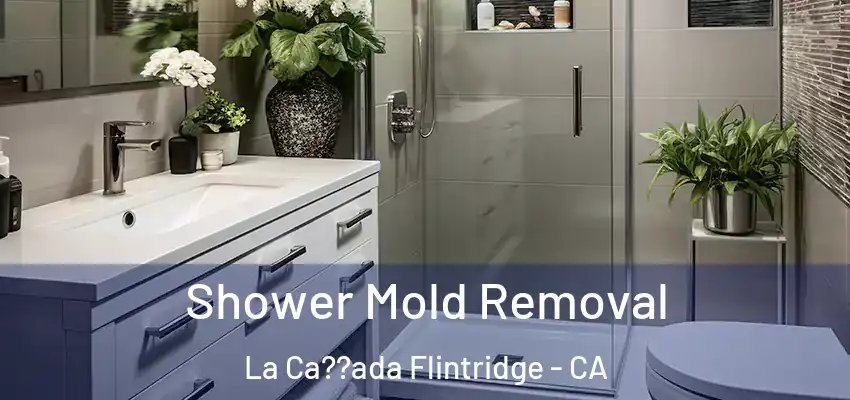 Shower Mold Removal La Ca??ada Flintridge - CA