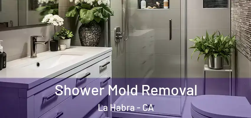 Shower Mold Removal La Habra - CA