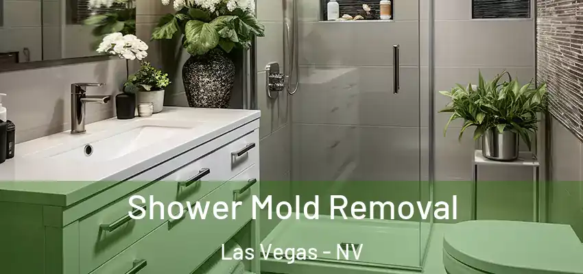  Shower Mold Removal Las Vegas - NV