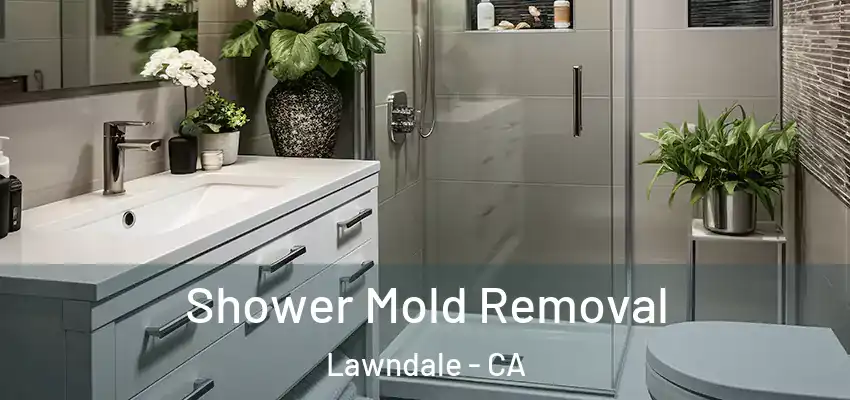  Shower Mold Removal Lawndale - CA