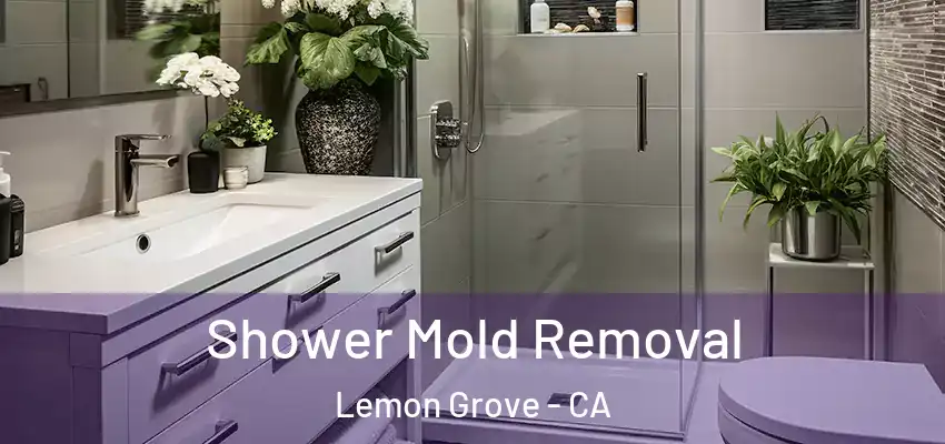  Shower Mold Removal Lemon Grove - CA