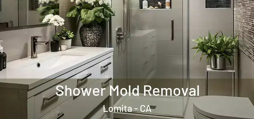  Shower Mold Removal Lomita - CA