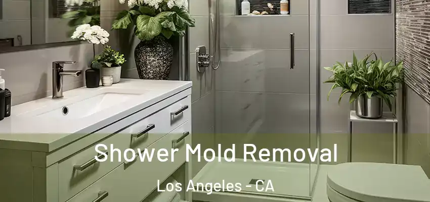 Shower Mold Removal Los Angeles - CA