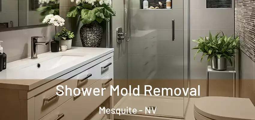  Shower Mold Removal Mesquite - NV