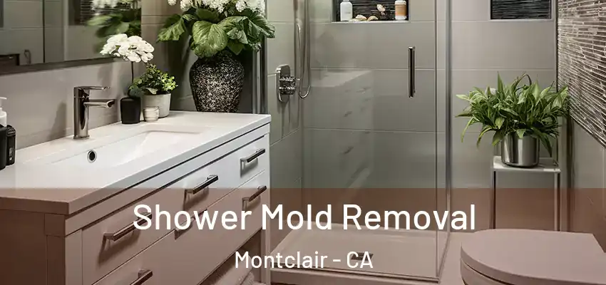 Shower Mold Removal Montclair - CA