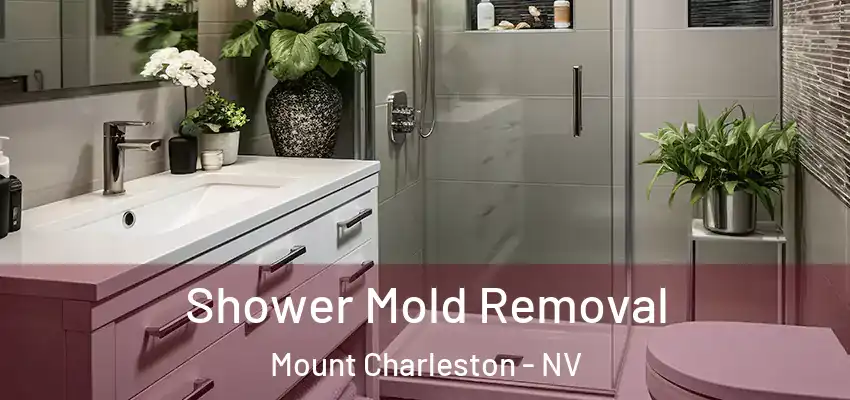  Shower Mold Removal Mount Charleston - NV