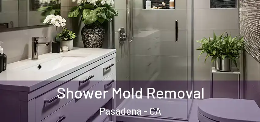Shower Mold Removal Pasadena - CA