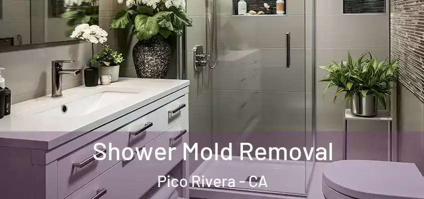  Shower Mold Removal Pico Rivera - CA