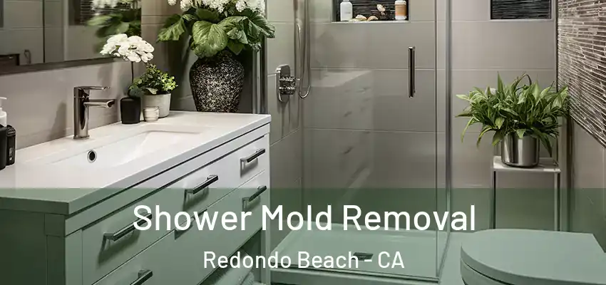  Shower Mold Removal Redondo Beach - CA