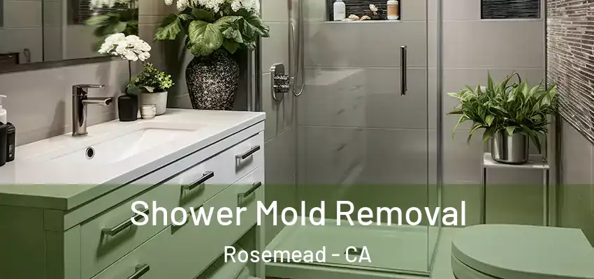  Shower Mold Removal Rosemead - CA