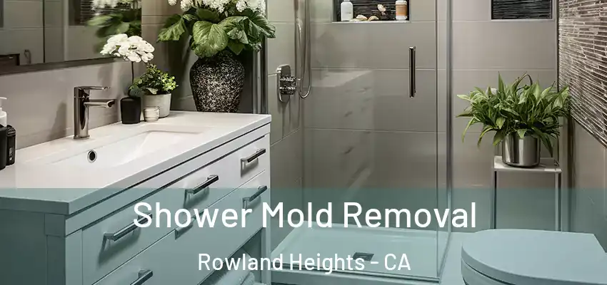 Shower Mold Removal Rowland Heights - CA