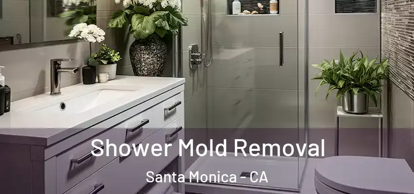  Shower Mold Removal Santa Monica - CA