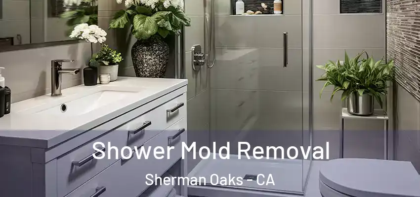 Shower Mold Removal Sherman Oaks - CA