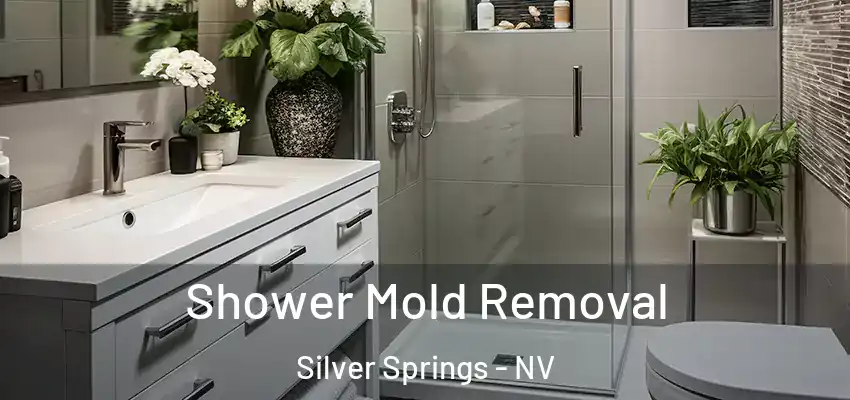  Shower Mold Removal Silver Springs - NV