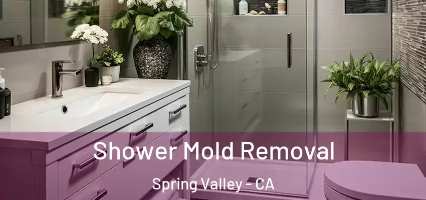 Shower Mold Removal Spring Valley - CA