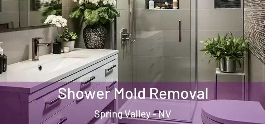  Shower Mold Removal Spring Valley - NV